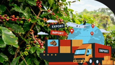 exportar café